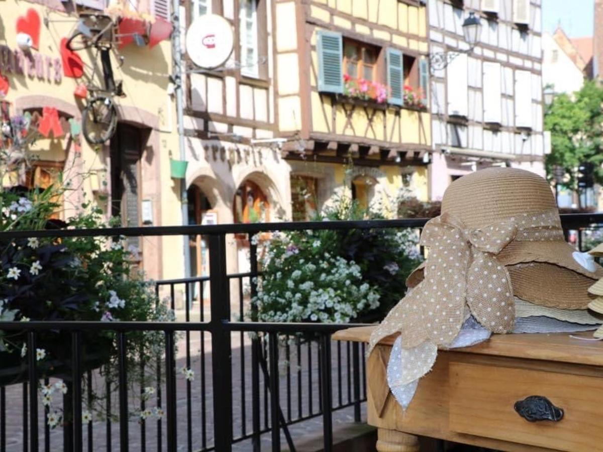 Appartement Spacieux A Colmar Avec Terrasse, Garage Privatif, Proche Centre Et Gare - Fr-1-722-2 Zewnętrze zdjęcie